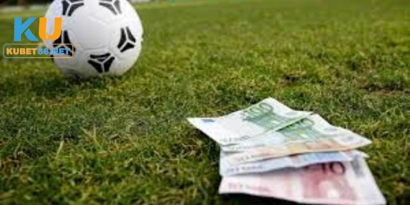 Các dạng cược trực tiếp phổ biến